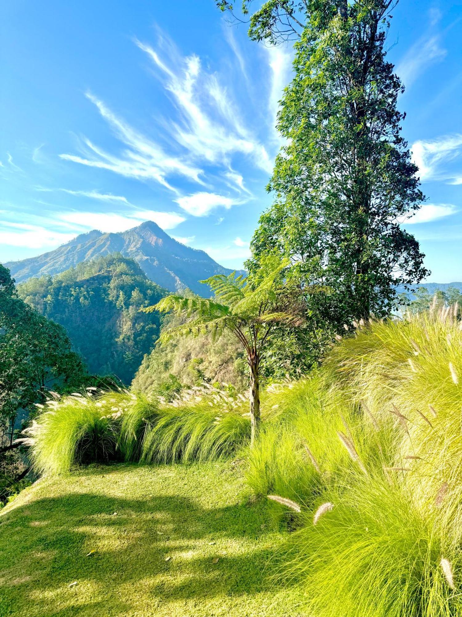 Alengkong Bali Camp Hotel Bangli Exterior photo